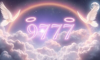 angel-number-9797