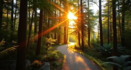 progressive life path guidance