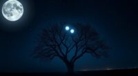 signs of twin flame reunion