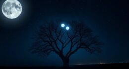 signs of twin flame reunion