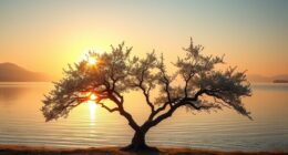 balance partnership growth 1212