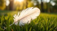 angel messages through white feathers