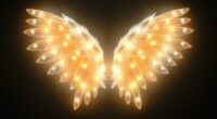 angel wing light signs