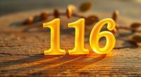number 116 s spiritual guidance