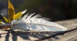 protection and stable foundations