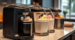 luxury home ice cream makers