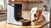 top automatic pet feeders