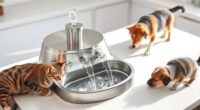 top automatic pet water fountains