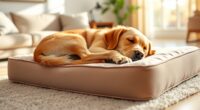 top orthopedic pet mattress recommendations
