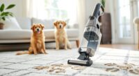top pet carpet cleaning tools