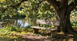 choose your meditation seat