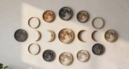 moon phase wall decor