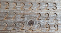 personal year number insights