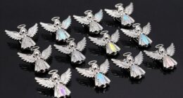 top angel visor clips