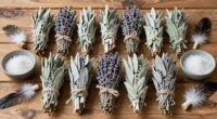 top sage cleansing bundles
